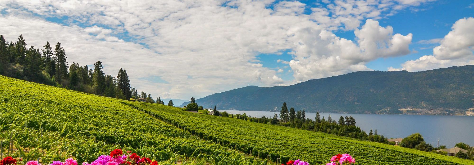Selling in the Okanagan