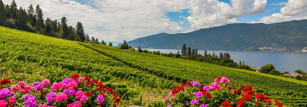 Kettle Valley