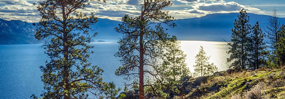 Buying a Home in Kelowna